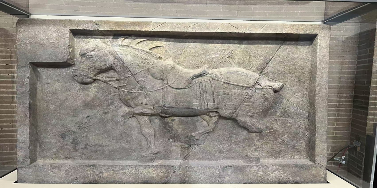 “拳毛騧”和“飒露紫”的记忆与反思